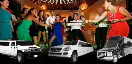 Bachelor Party Limo Party Bus Napa Bachelor Party Limo Party Bus Napa
