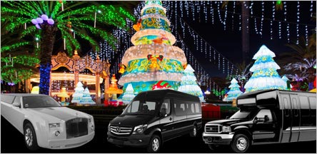 Christmas Light Tours Limo Service Napa