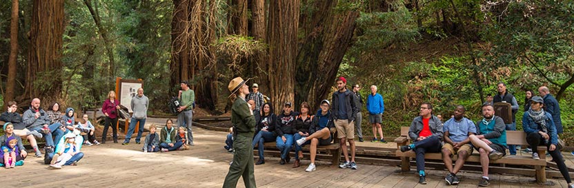 Limo Rentals Napa Muir Woods National Monument