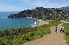 Muir Beach Limo Service Napa