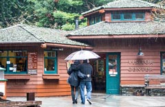 Muir Woods Cafe Limo Service Napa