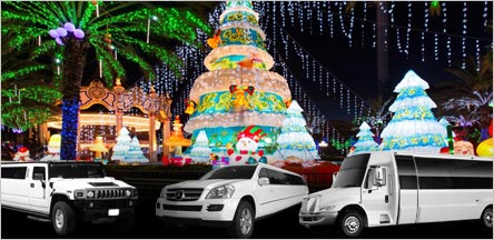 Napa Christmas Light Tours Limo Service