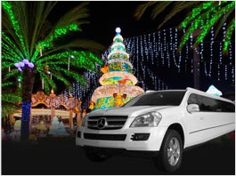 Napa Christmas Light Tours Limousine Service