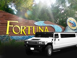 Napa Limo Service For Fortuna