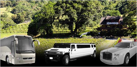 Napa Mendocino Limo Wine Tours