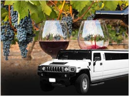 Napa Sonoma Wine Tours Limousine Service