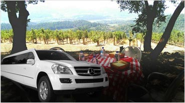 Napa Tours Limousine Service