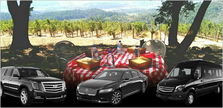 Napa Valley Wine Tours Limo Service