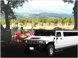 Napa Valley Wine Tours Limousine Service