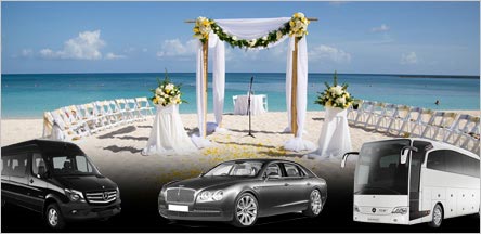 Napa Wedding Limo Car Service